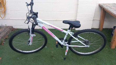 Teenager mountain bike