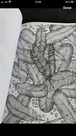Adults colouring book