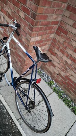 classic vinatge raleigh road racing bike