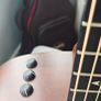 Taylor 517e Builder's Edition Image 2