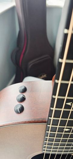 Taylor 517e Builder's Edition