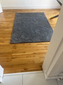 rug