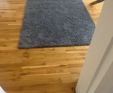 rug
