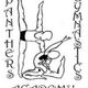 Panthers Gymnastics Academy