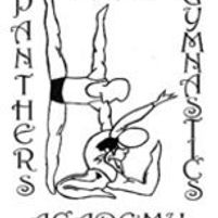 Panthers Gymnastics Academy Jobs in Ireland