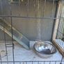 Rabbit Hutch Image 6