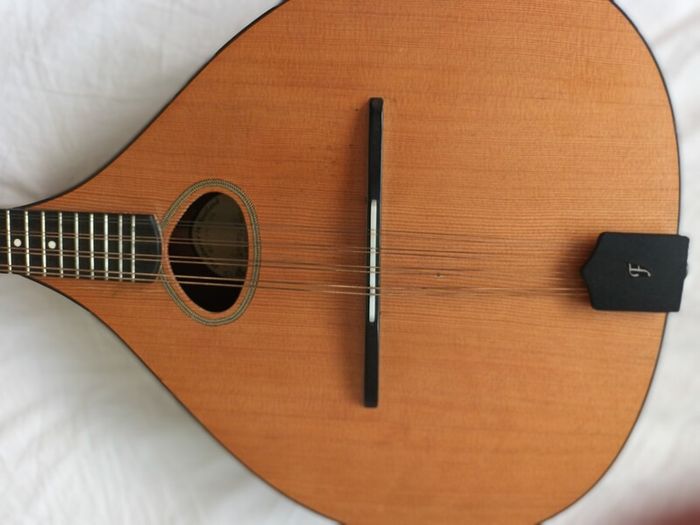 Dave Freshwater octave mandolin