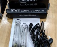 Lumii 600w Ballast & 2 HPS Bulb's