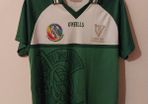 leinster all star camogie jersey