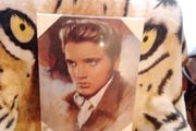 Elvis Memorabilia - Elvis Presley - Canvas Print