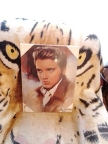 Elvis Memorabilia - Elvis Presley - Canvas Print