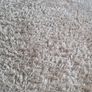 rug Image 2