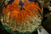 Vintage Murano paperweight