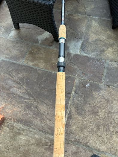 Spinning Rod