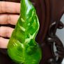 Philodendron Jose Buono Image 4
