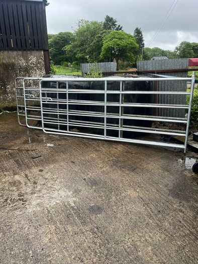 Selection of galvanised gates