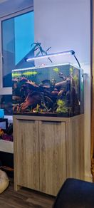Fish Tank and Stand