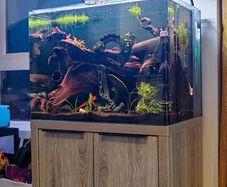Fish Tank and Stand