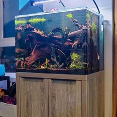 Fish Tank and Stand