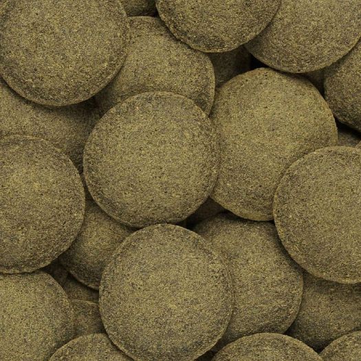 Hikari Algae Wafers 20g - pleco