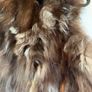 Rabbit Fur vest Image 8