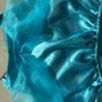 Disney Princess Jasmine costume Image 5