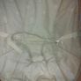 baby bouncer Image 5