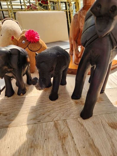 Elephants