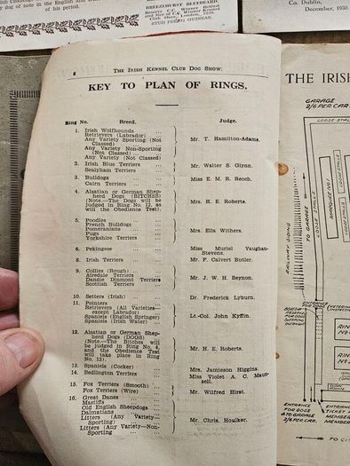 Catalogues Of The 10th & 11th Irish Kennel Club Shows 1931-32. Plus To Stud Cards For Dogs. Paperbacks In Only Fair Condition.  See Photos For Same.