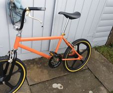 Raleigh Mag Styler