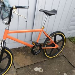 Raleigh Mag Styler
