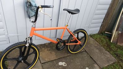 Raleigh Mag Styler