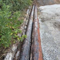 ESB poles