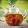 (S) Clary Sage seeds 0.5g (184298) Image 4