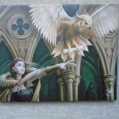 Anne Stokes canvas. Home decor, Gift. Canvas, Picture