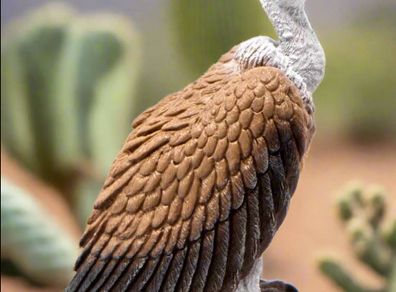 Schleich Vulture Animal Figure