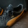puma Image 4