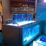 Red Bull vestafrost countertop cooler Image 2