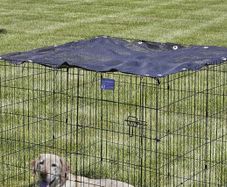 Mesh Cover for Dog Playpen