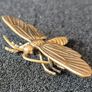3 brass Insects, Solid brass. Image 5