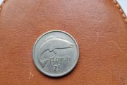 1951 Irish Floirin