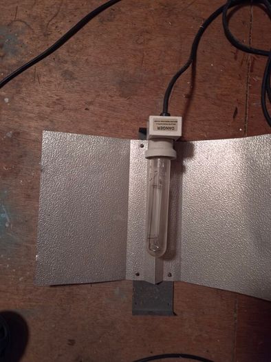 600w sodium light with ballast.