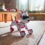 Zoey the Robo Dog Image 2