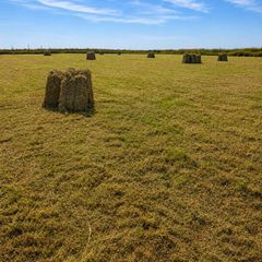 Top Quality Square Bales (Large Quantity) - 3.50