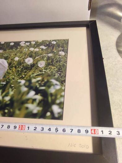 John lennon framed print watching the grass grow NIC 2010 limited edition 3 /500 42.5 x 33 cm.