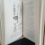 Phylogeny of the Orthopteroidea by A. G. Sharov. Translated from Russian (RB400) Image 6