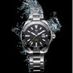 Thewatchguy