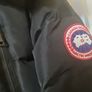 canada goose Image 2