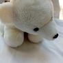 White Bear in a box Image 8