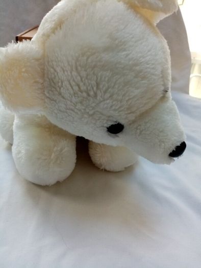 White Bear in a box